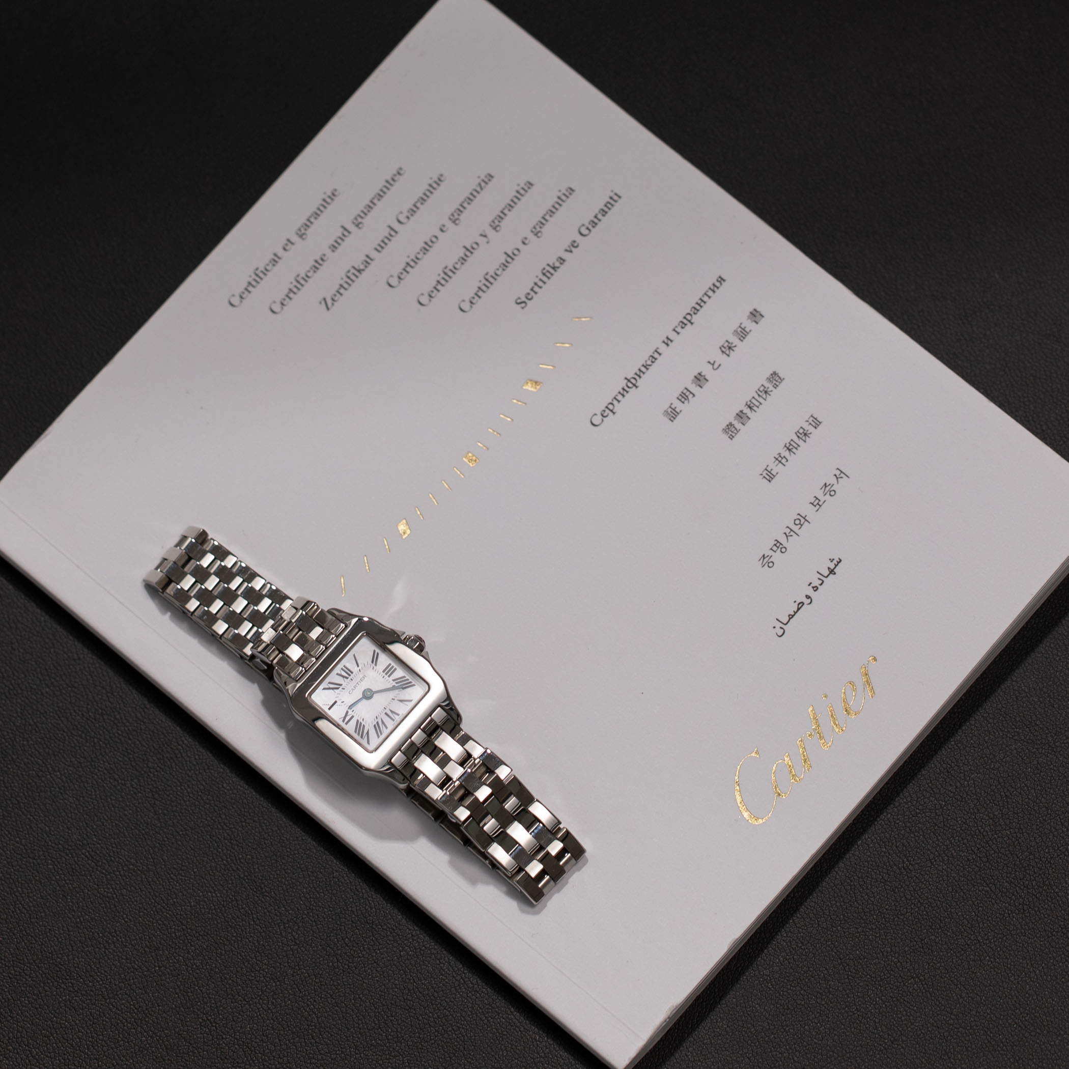 Santos de Cartier Demoiselle MOP Small 20mm Steel Watch W25075Z5